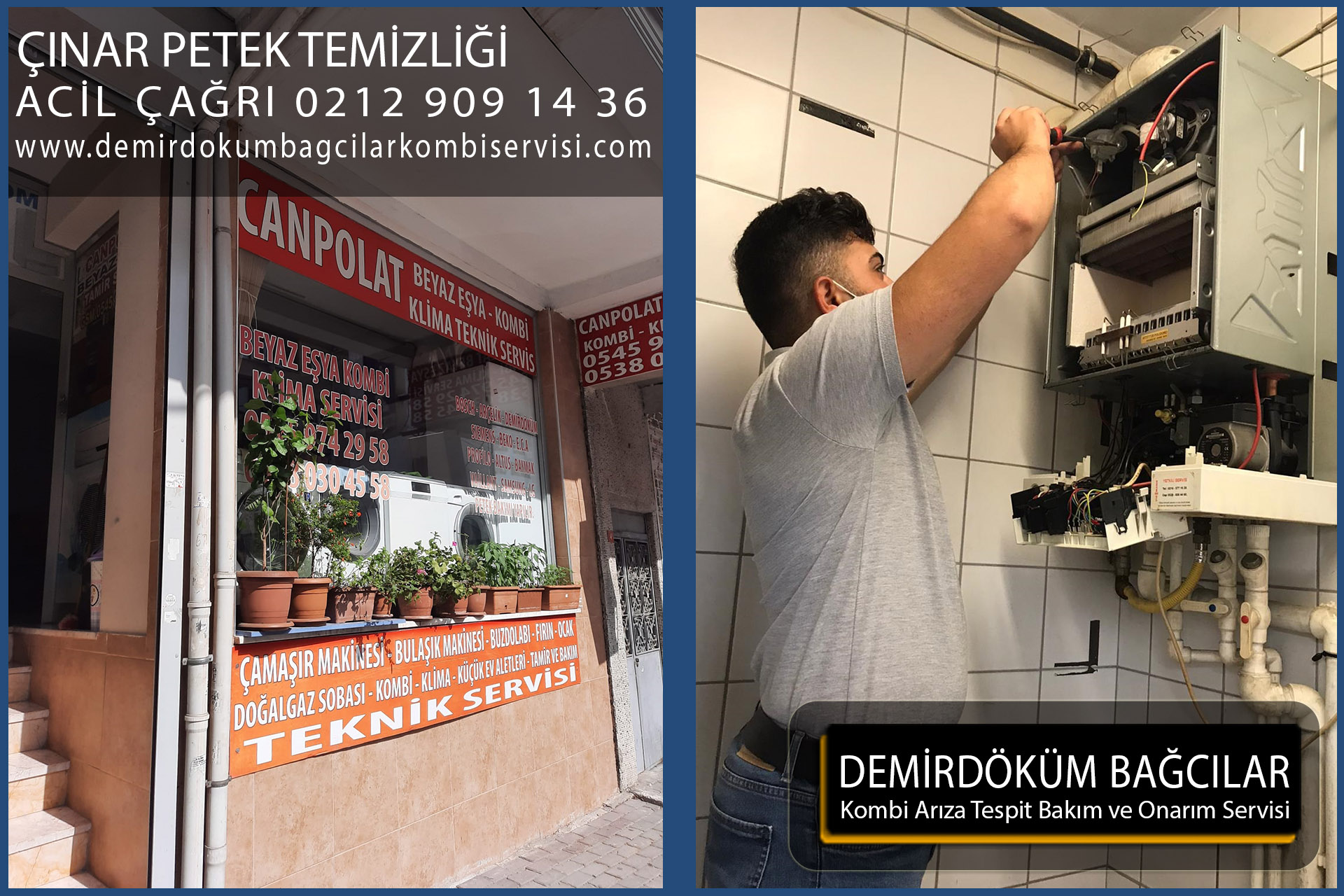 çınar petek temizliği